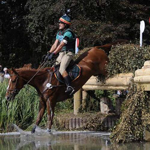 Official communiqué accident Francisco Seabra