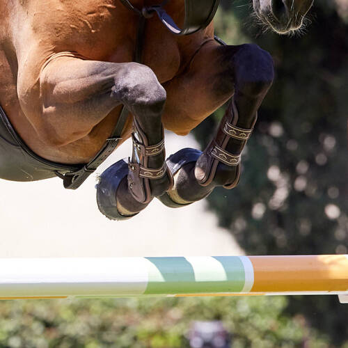 IJRC requests another look at the elimination rule