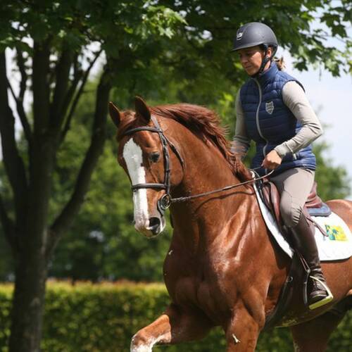 Umeunig to Katharina Offel