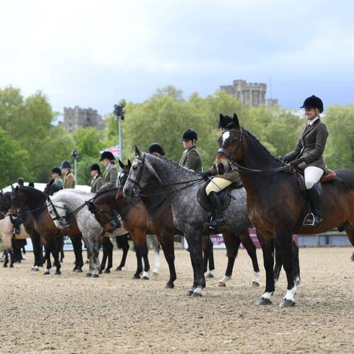 RIDERS FROM 16 COUNTRIES COMPETE IN VIRTUAL WINDSOR’S AUTUMN SERIES