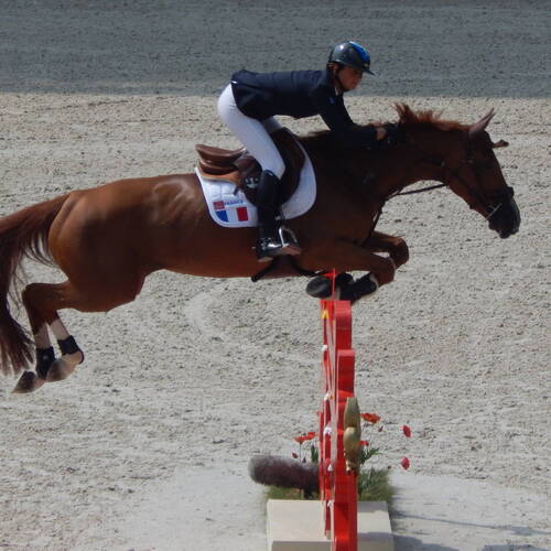 GOODBYE FLORA DE MARIPOSA