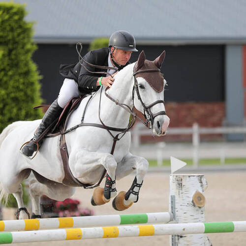 CSI4* Grand Prix Ascona: victory for Leon Thijssen