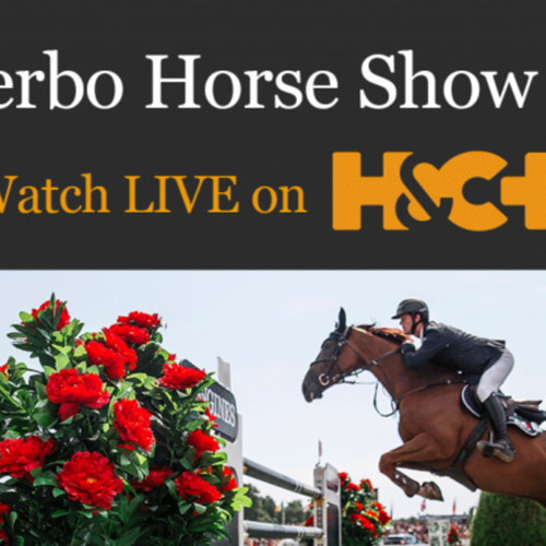 Watch Fantastic Coverage of Falsterbo Horse Show Live on Horse & Country