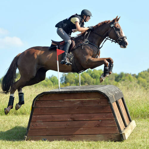 STATEMENT ON FATAL ACCIDENT AT SYDNEY INTERNATIONAL HORSE TRIALS (AUS)