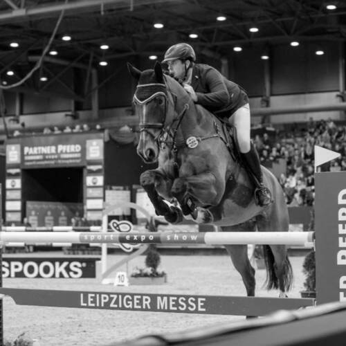 PARTNER PFERD LEIPZIG 2021 cancelled 