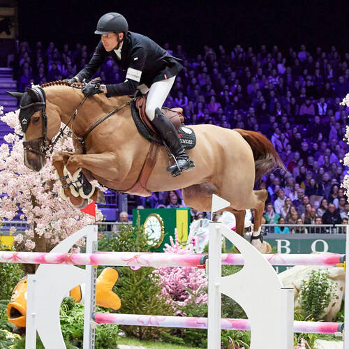 FEI Rankings Monthly Update – April 2024