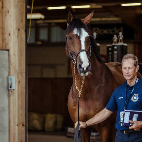 All ready for action at Riesenbeck….