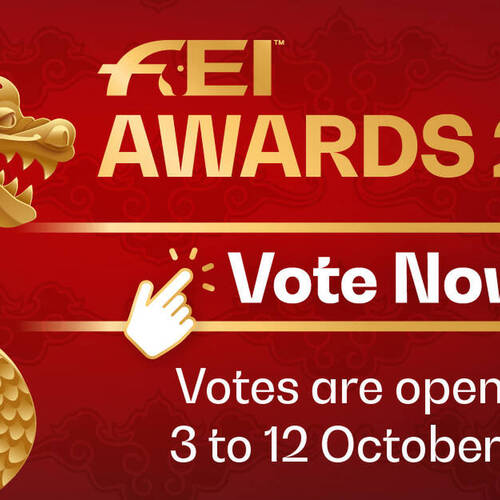  FEI AWARDS 2025 - Vote Now!