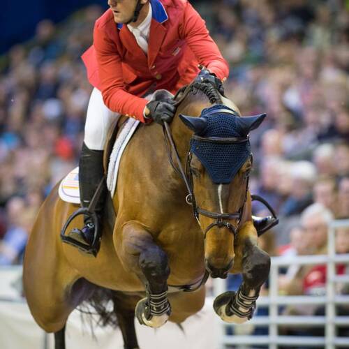 HH Azur Named USEF Horse of the Year
