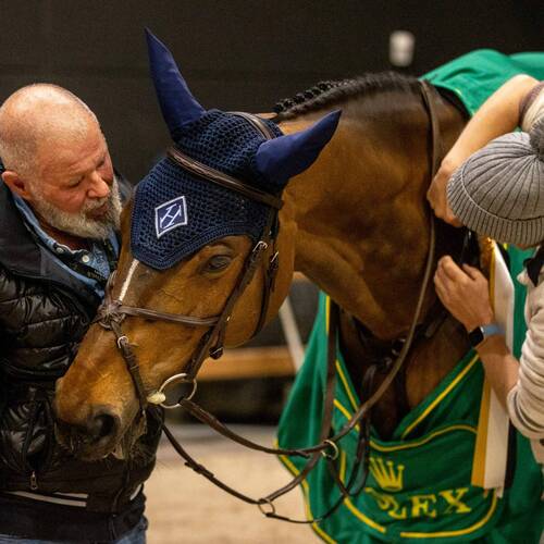 PEDIGREE STORIES - HH AZUR