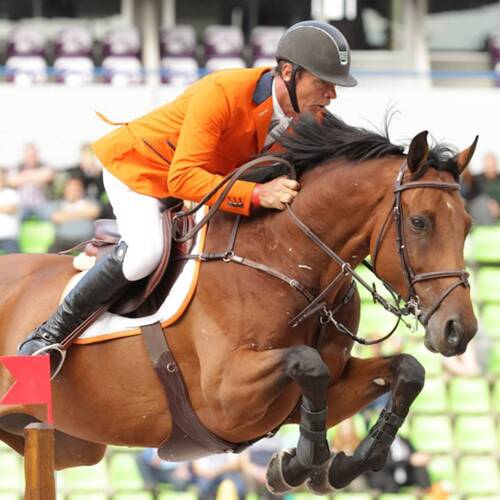 World Champion showjumper up for auction after Rio