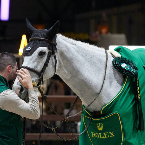 Limelight on a professional approach