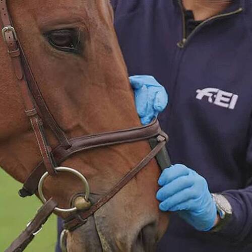 GENERAL PROTOCOL FOR ASSESSING THE TIGHTNESS OF NOSEBANDS WITH THE FEI MEASURING DEVICE