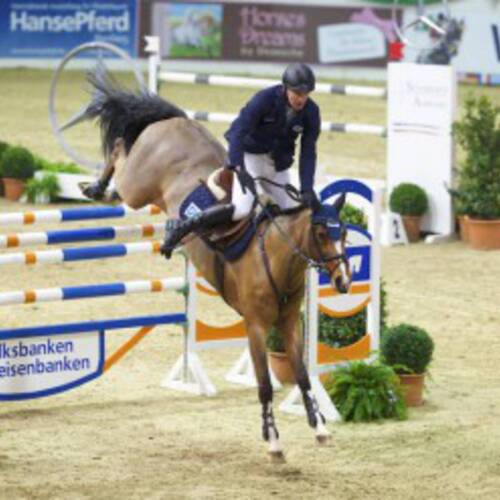 Fine Lady 5 Sold to Artisan Farms for Eric Lamaze