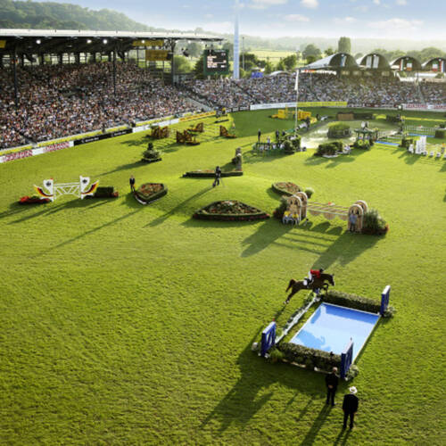 FEI European Championship: the second day