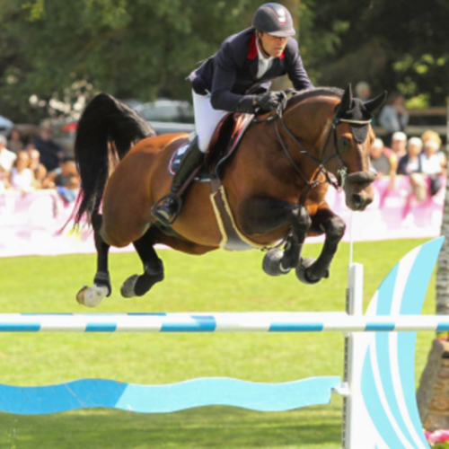 ARMITAGES BOY TO BE SOLD