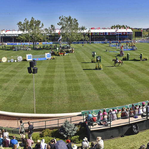 Brussels Stephex Masters: Home of the champions!