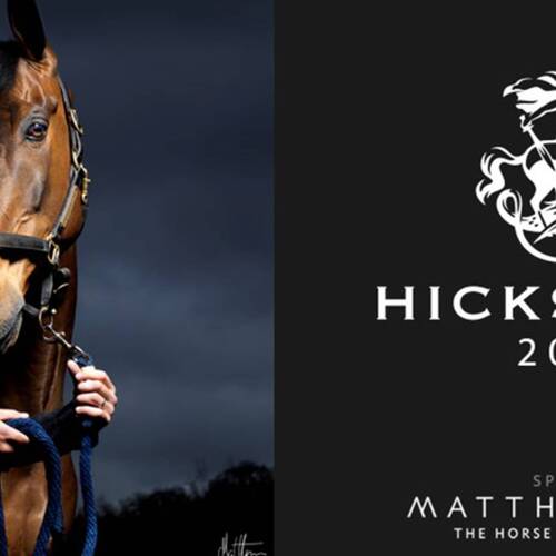 HICKSTEAD TO AUCTION OFF PORTRAIT FOR CHARITY