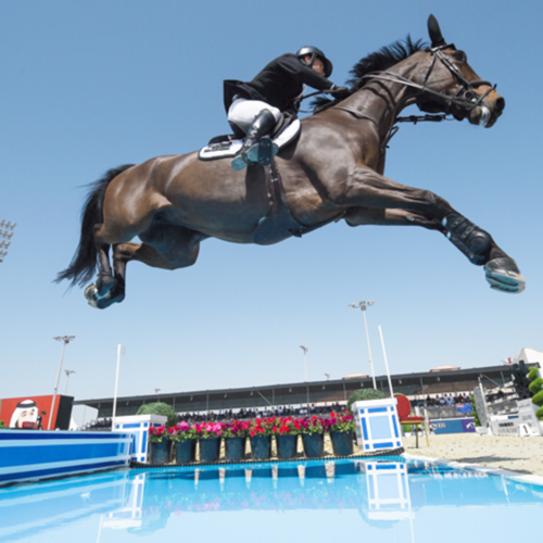 KIWIS ARE THE KINGS AT LONGINES SERIES OPENER IN ABU DHABI