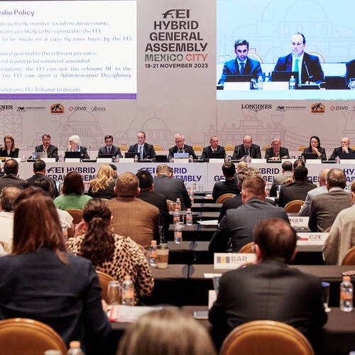 FEI Hybrid General Assembly to be broadcast LIVE