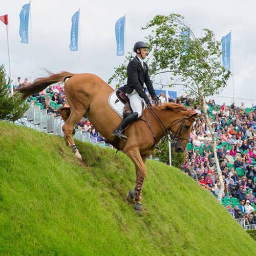WILLIAM BECOMES THE THIRD WHITAKER TO WIN THE DERBY AT HICKSTEAD
