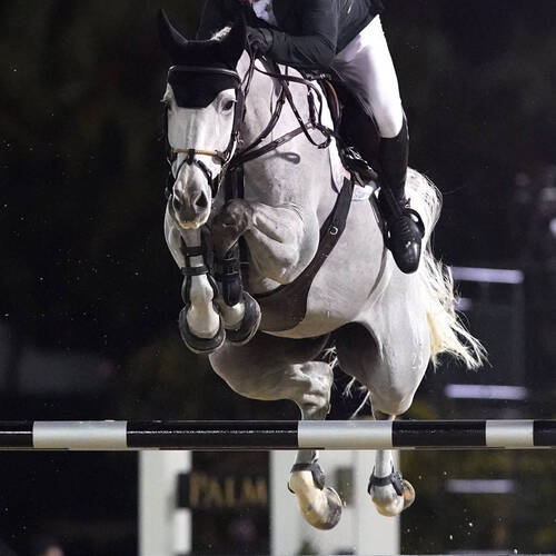 Shane Sweetnam and Alejandro Speed to $401,000 Douglas Elliman Real Estate Grand Prix CSI5* Victory