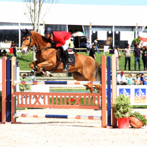 GOLD FOR LEBANON’S MAITALA IN THRILLING WORLD JUMPING CHALLENGE FINAL