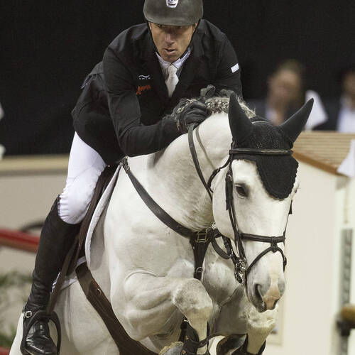 Zirocco Blue VDL has been retired from competitions