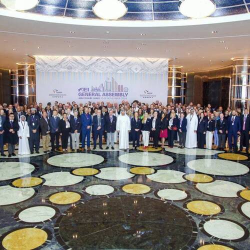 FEI General Assembly 2024 and in-person FEI Board meeting II – summary of decisions