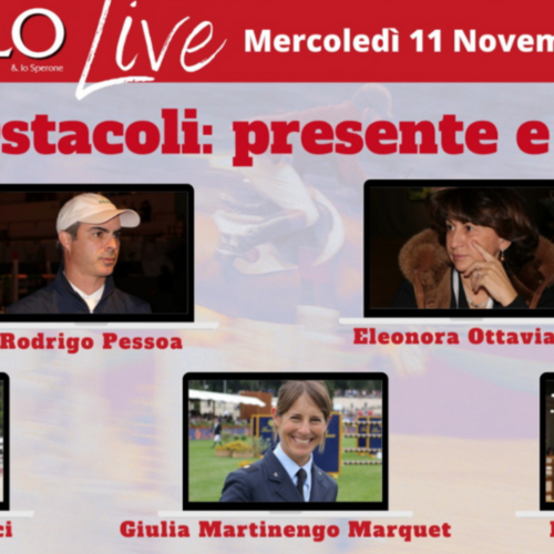 Show jumping: present and future