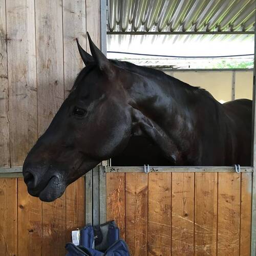 Welcome to Rome Cortes!