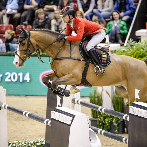 Toulago goes back to owner