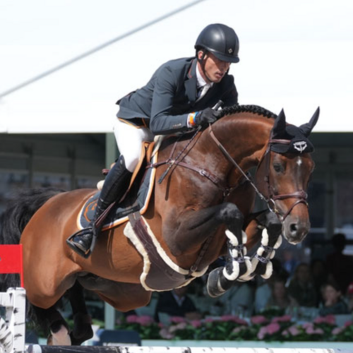 Dutch Olympic Team for Paris 2024 Announced