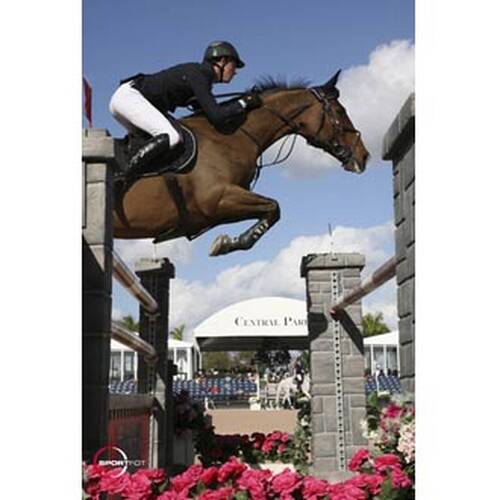 Ben Maher’s ride Urico injured