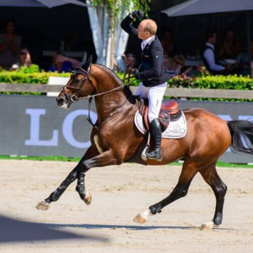 Willem Greve victorious in Rotterdam