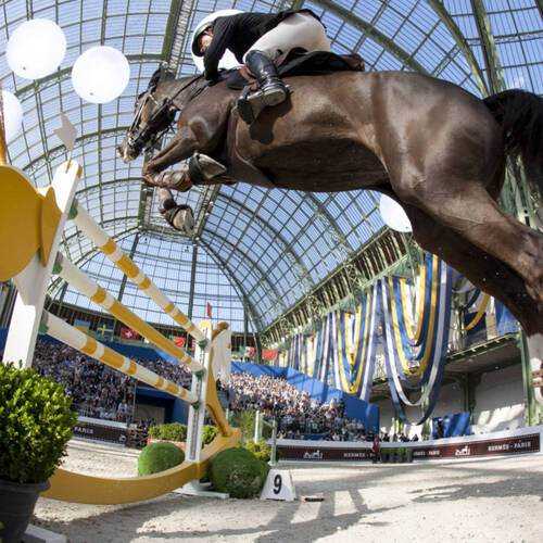 CSI5* – GRAND PRIX HERMES: THE GRAND PALAIS FLIES THE SWISS FLAG AFTER THE VICTORY OF ROMAIN DUGUET!
