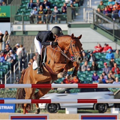 From eventing's world: Land Rover Kentucky Three-Day Event presented by MARS Equestrian™ Cancels This Year’s Five Star Event