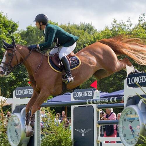 YURI MANSUR'S DREAM WEEK ENDS WITH KING GEORGE WIN