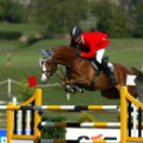 TOKYO 2020 OLYMPIC GAME: THE DROP SCORE, THE ROLE OF POTENTIAL RESERVE HORSE/RIDER COMBINATIONS, THE JUMPING FORMAT: THE VOICE OF THE TOP INTERNATIONAL ATHLETE MAX KÜHNER