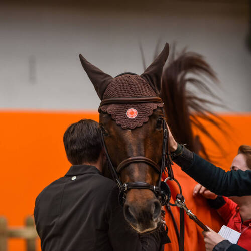 French victory in Paris at CSI5* Saut Hermès