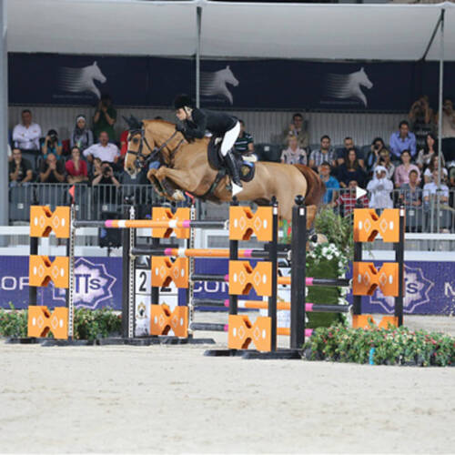Cevo Itot Du Chateau, the showjumping star to retire