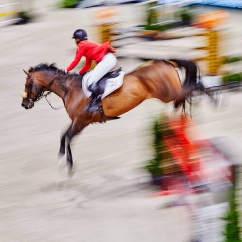 Beezie Madden did it again in Paris