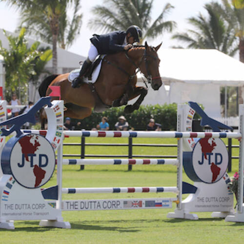 Diego Vivero and Bijoux Win $50,000 National Grand  Prix at the 2017 Winter Equestrian Festival