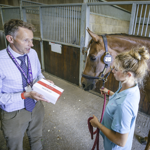  IGA and FEI launch first anti-doping education course designed  specifically for grooms
