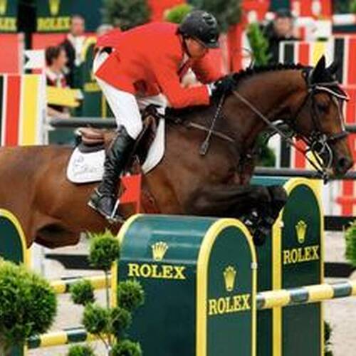 UNIQUE EMBRYO BY HICKSTEAD SOLD TO SWEDEN