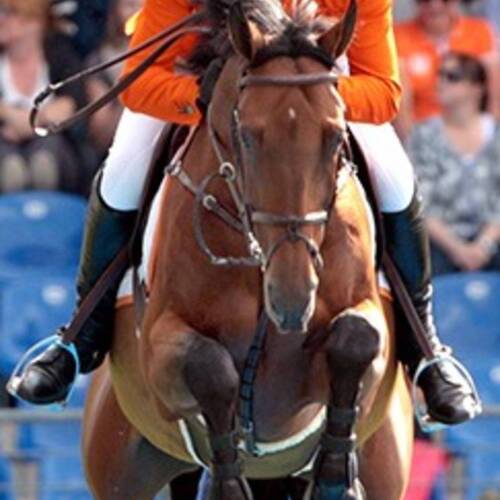 SFN Zenith remains at Jeroen Dubbeldam yard!