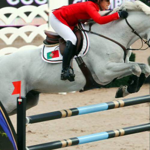 COLTAIRE Z PUT DOWN AFTER FALL