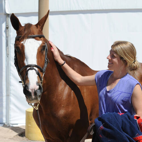 Bellissimo Announces Major Grooms Initiative