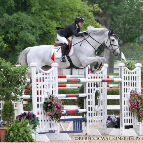 Margie Engle and Indigo Triumph in $75,000 Commonwealth Grand Prix at Kentucky Spring Horse Show 