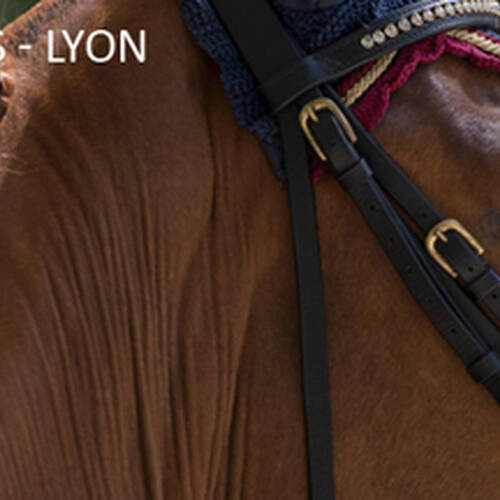 FEI WORLD CUP FINAL (LYON, 17-21 APRIL)IS ABOUT TO START: HAVE A LOOK AT PAST WINNERS.